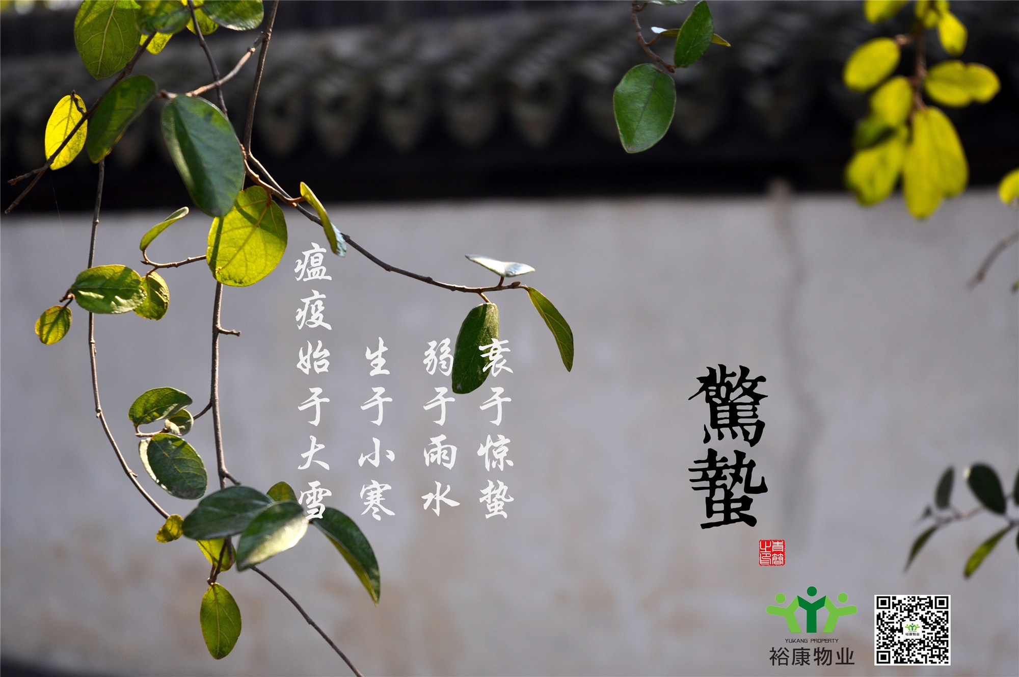 庚子春，二月十二，驚蟄日