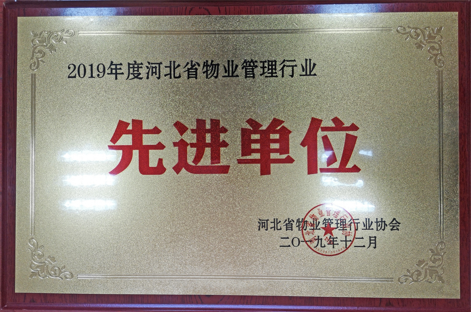 以行業(yè)榮譽(yù)，開啟2020新征程